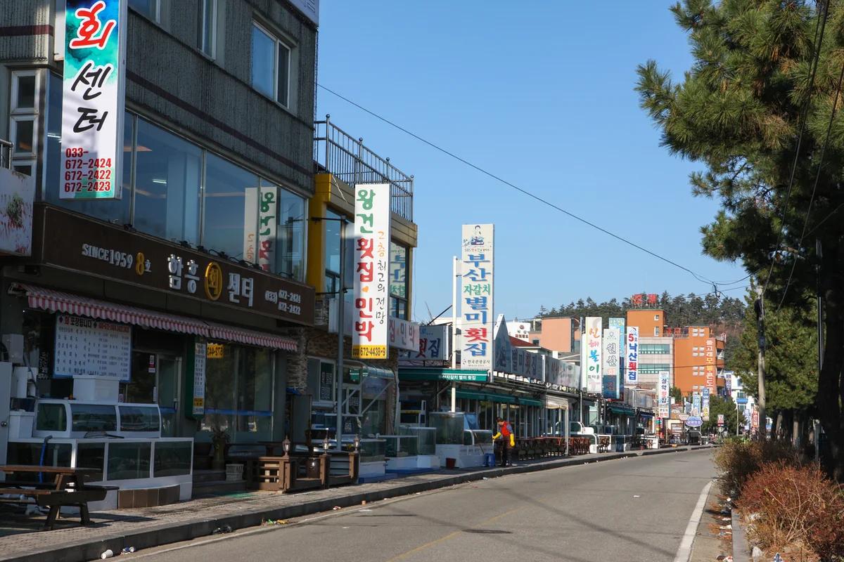 겨울 바다 미식 여행, 대포항 횟집 추천 5곳 & 싱싱한 해산물 가이드