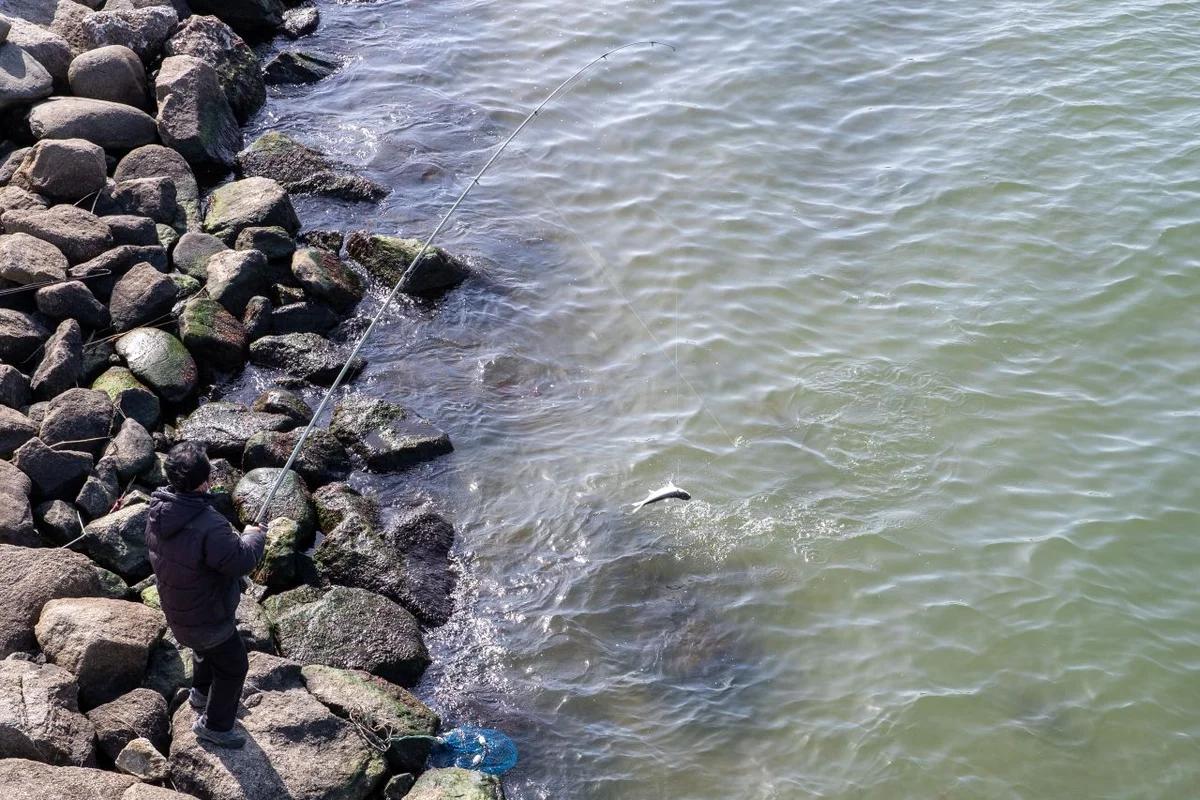 겨울 바다의 낭만, 강릉 낚시 명소 5곳에서 즐기는 짜릿한 손맛