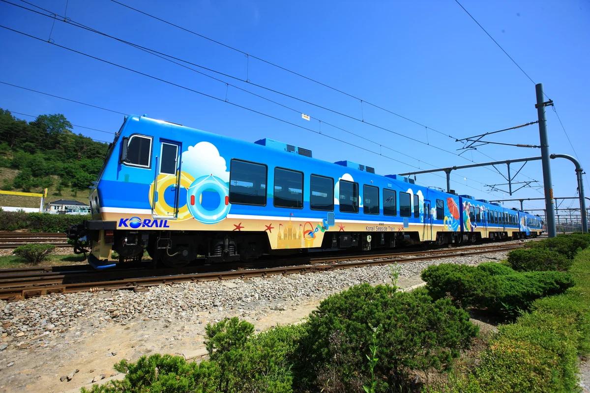 강릉역 ktx 겨울 여행 어디가 좋을까? 낭만 가득한 강릉 명소 BEST 6