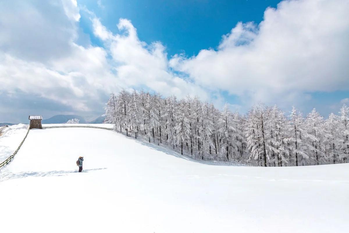 강원도 KTX 어디가 좋을까? 겨울 설렘 가득한 설경 명소 BEST 6