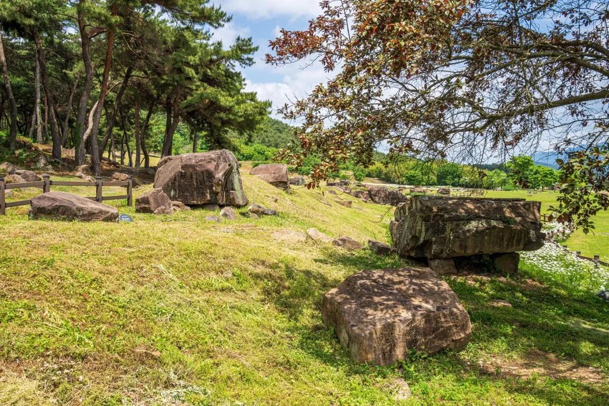 새해 겨울, 정취 가득한 전북 고창 여행 선운사, 고창읍성 & 동림저수지 겨울 철새