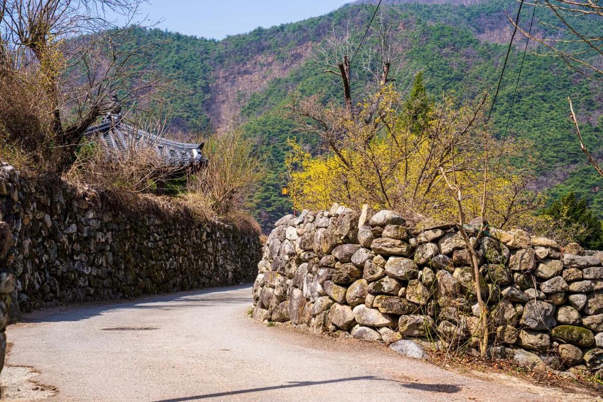 공주 맛집 추천 어디가 좋을까? 겨울 미식의 향연, 백제의 맛집 BEST 6