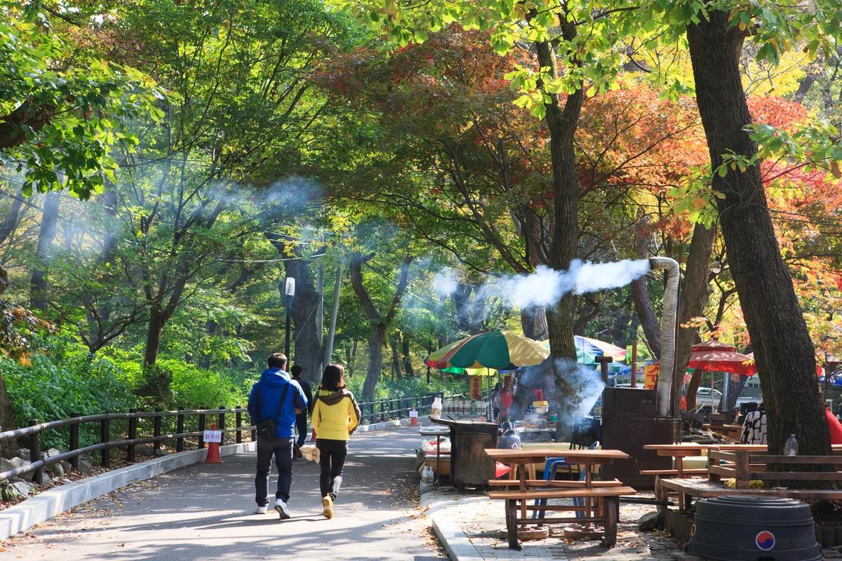 겨울 공주 숨은 맛집 어디가 좋을까? 밤 구이와 따뜻한 국밥 BEST 6