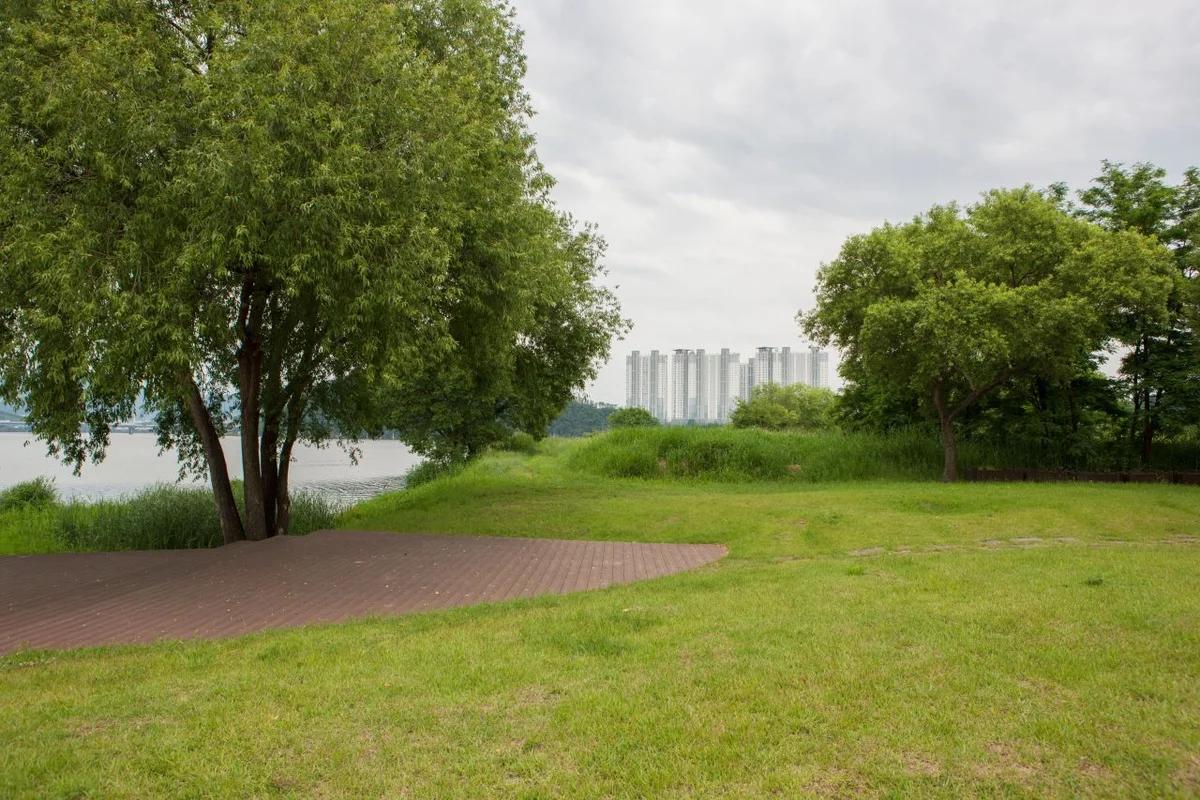 겨울 낭만 가득한 구미 여행, 금오산과 에코누리 동락공원 설경 속으로