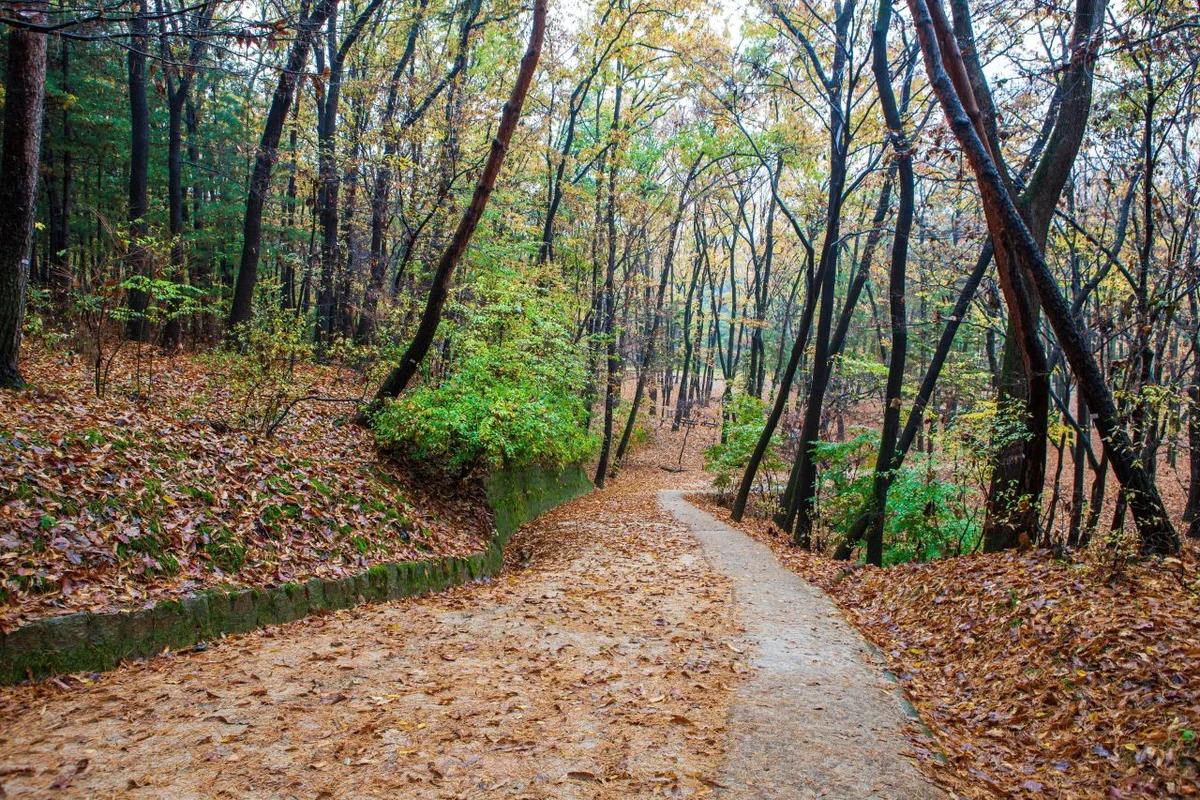 군포 BEST 5, 겨울 낭만과 따뜻함을 담은 여행