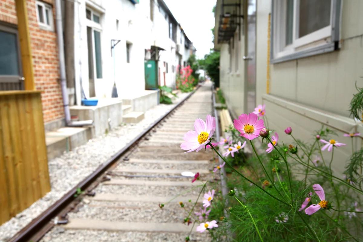 군산 여행 코스 BEST 5, 겨울 낭만을 더하는 시간 여행