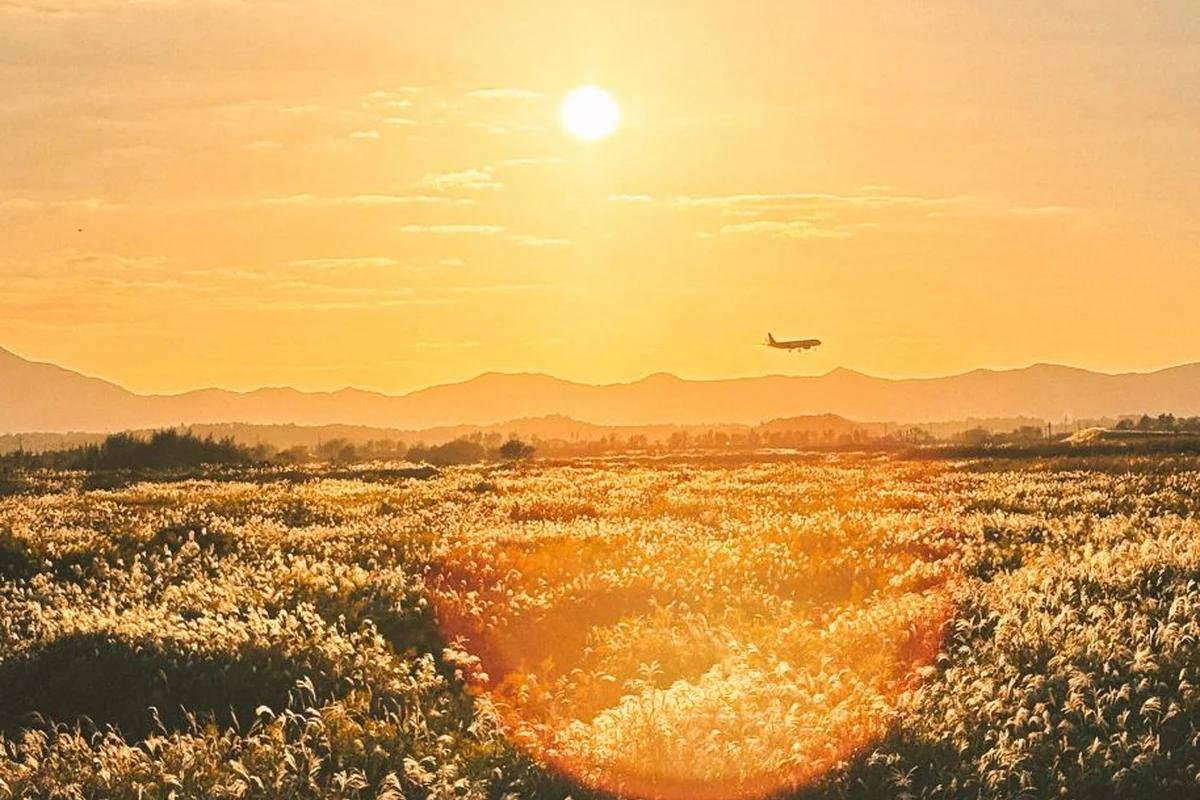 광주 비행기 여행 어디가 좋을까? 겨울 낭만 가득한 양림동 & 무등산 BEST 5