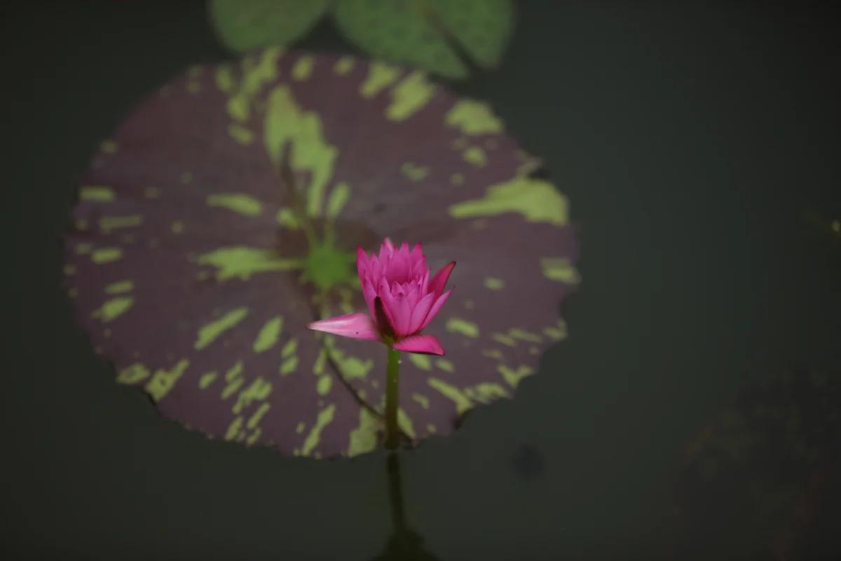 새하얀 겨울을 담은 경기도 설경 여행 명소 5곳