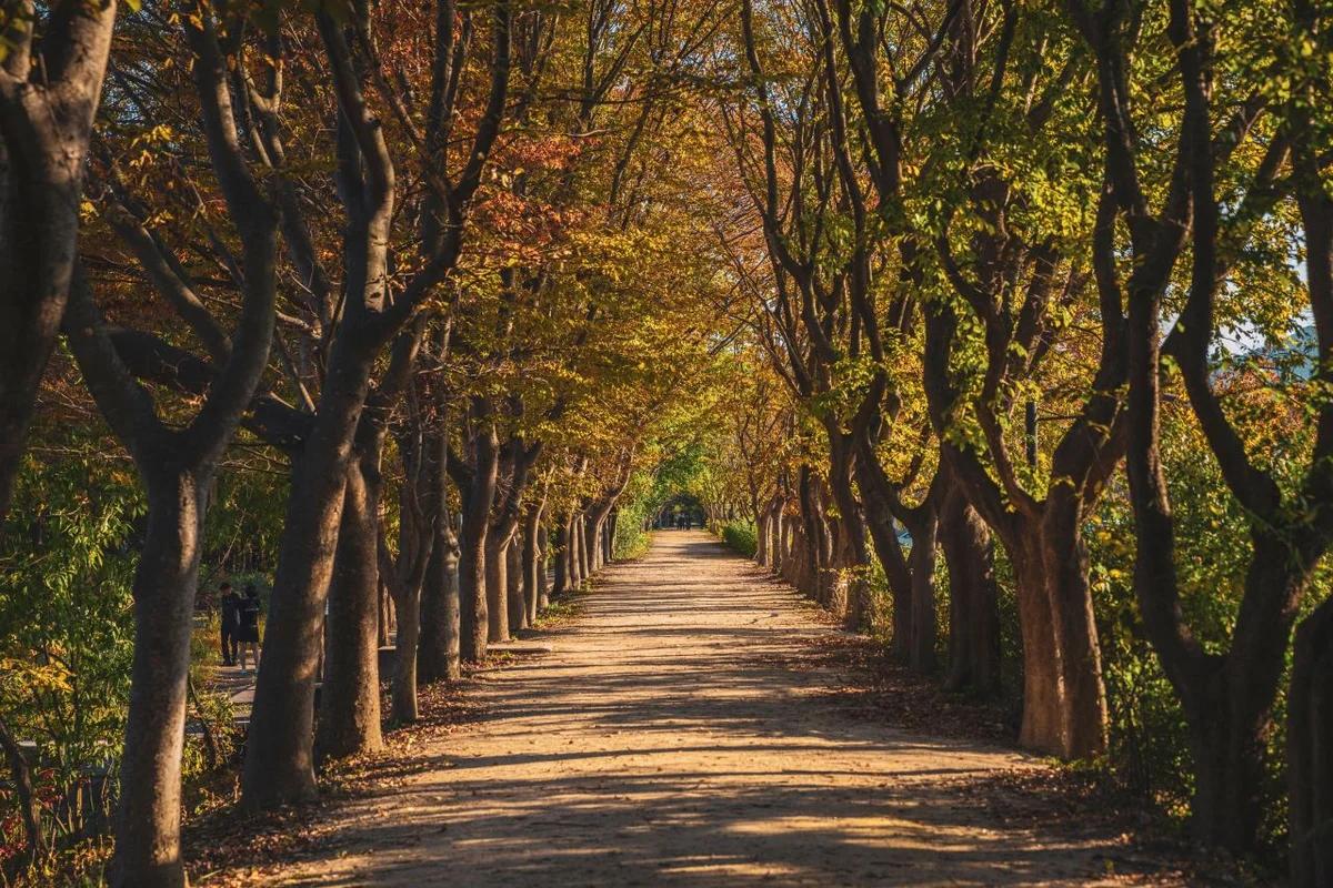 새해 첫 걸음, 경주 겨울 여행  경주 수목원, 동궁과 월지, 황리단길