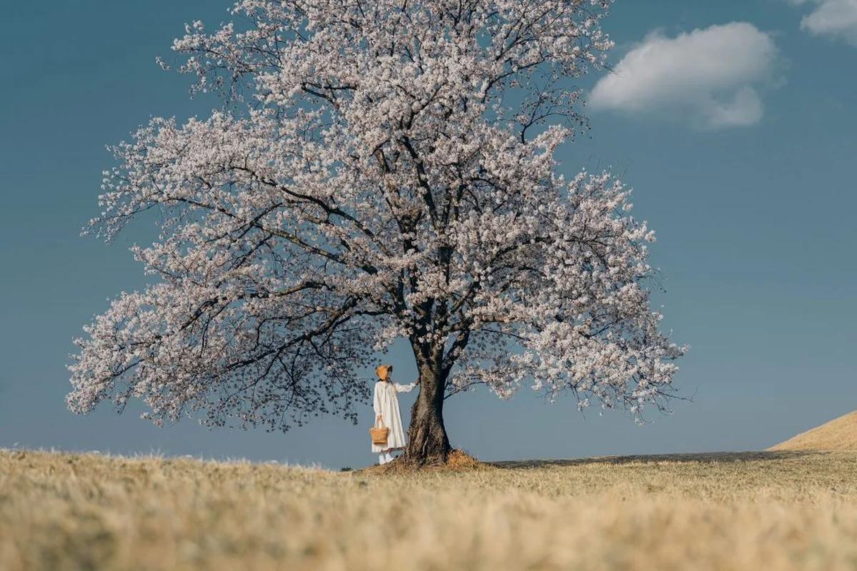 함안 중학교 BEST 5, 겨울에도 빛나는 배움터와 주변 명소 탐방