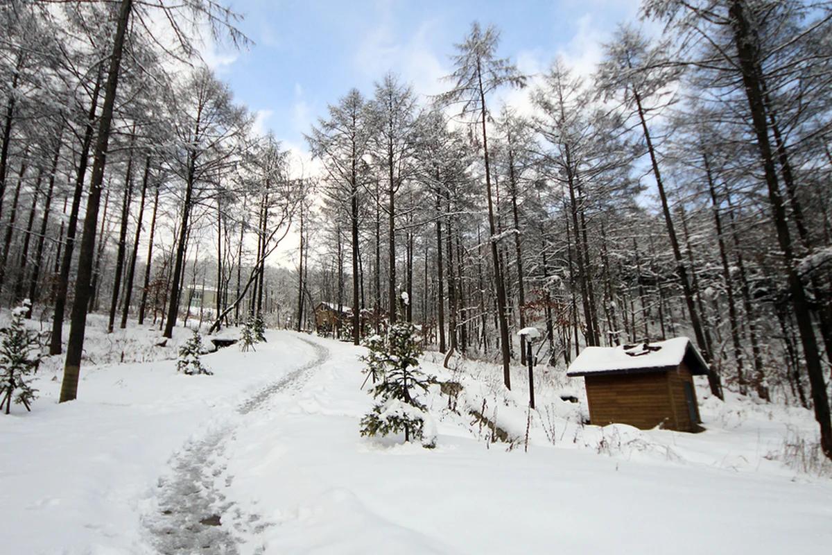 겨울 낭만 여행, 횡성 역 어디가 좋을까? 한우 맛집 & 설경 명소 BEST 6