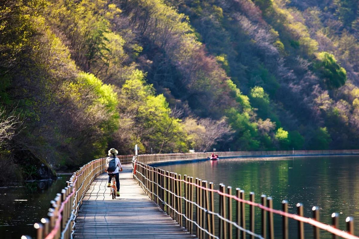 이번 겨울 화천 산천어 축제 입장료 얼마일까? 놓치면 후회할 주변 명소 6곳