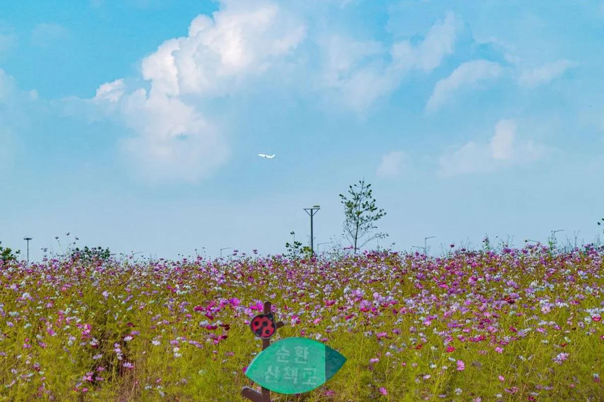 인천 겨울 여행 코스 어디가 좋을까? 차이나타운과 월미도 BEST 6