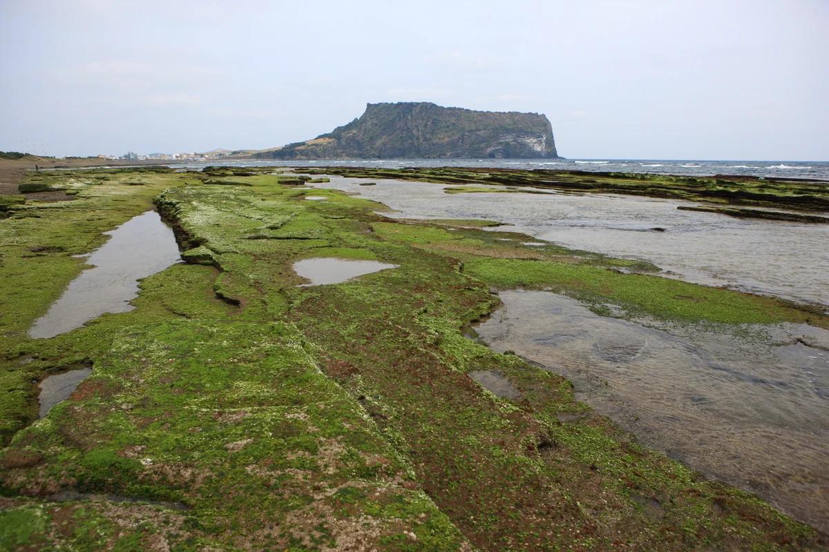 제주 동쪽 가볼만한 곳 어디가 좋을까? 겨울 낭만 가득한 성산일출봉 & 월정리 BEST 6