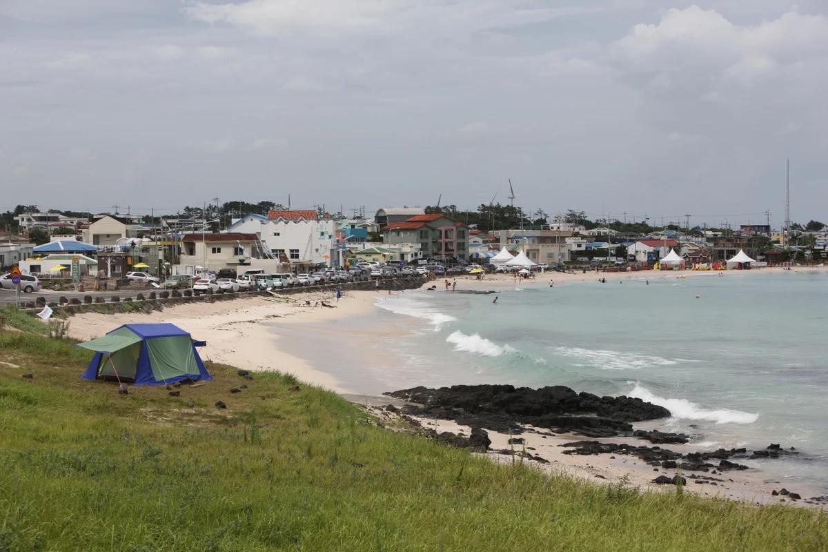 새해 겨울 감성, 제주도 동부 숨은 명소 탐험, 비자림과 김녕미로공원