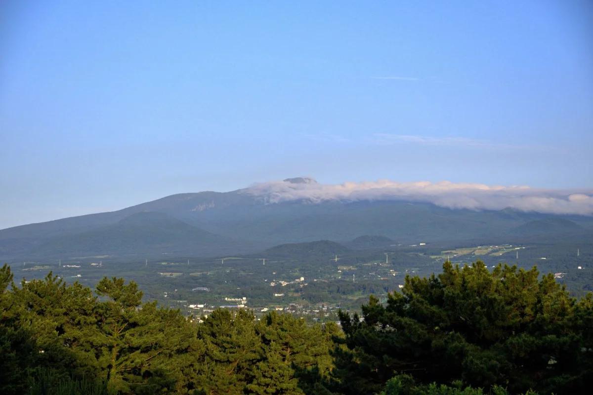 제주시 고기국수 BEST 5, 추운 겨울 몸과 마음을 녹이는 따뜻한 한 그릇