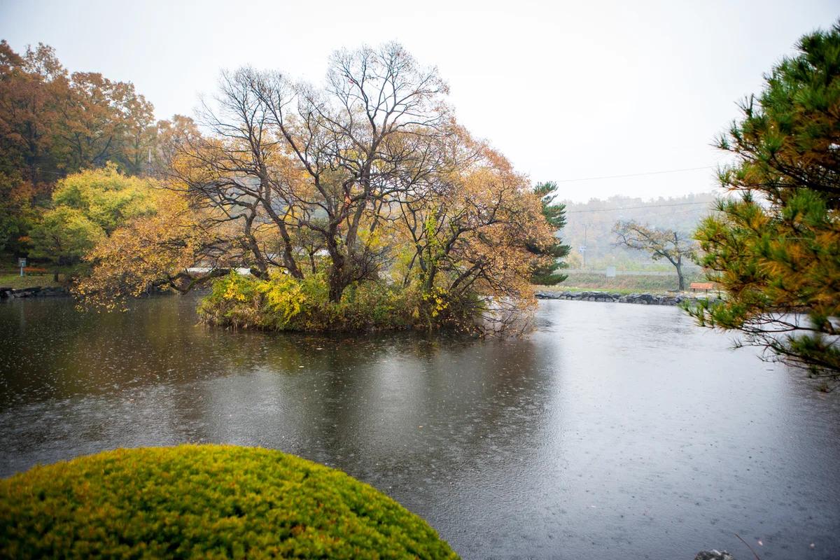 제주도 게스트 하우스 BEST 5, 겨울 낭만을 더하는 따뜻한 숙소