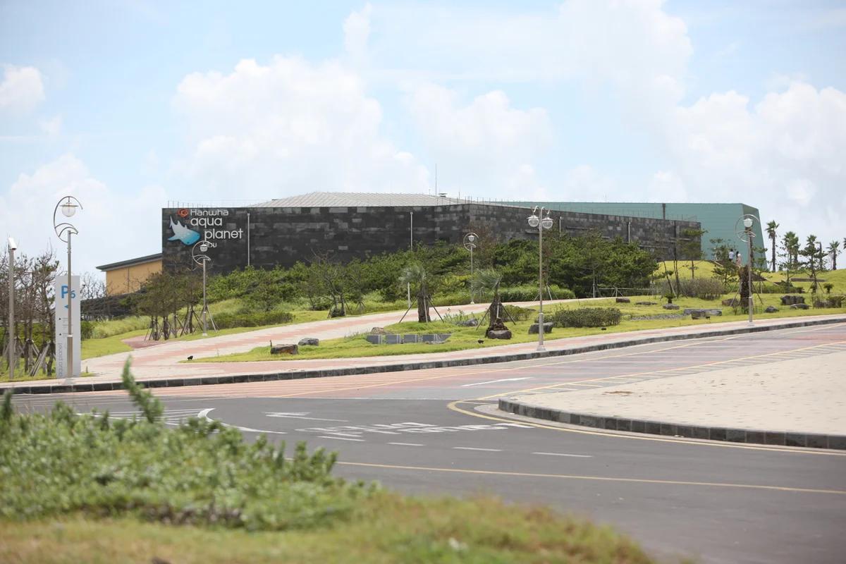 제주 실내 액티비티 어디가 좋을까? 겨울에도 신나는 제주여행 BEST 6