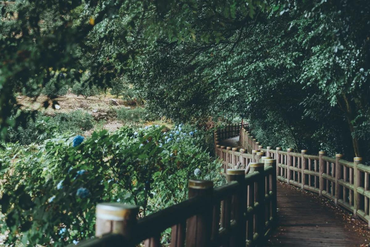 제주도 6월 여행 BEST 5, 초여름의 싱그러움을 만끽하는 특별한 경험