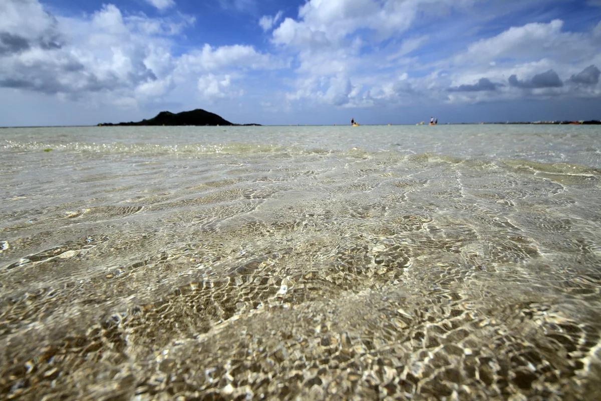 제주도 비 오는 날 어디가 좋을까? 휴애리 & 만장굴 실내 명소 BEST 5