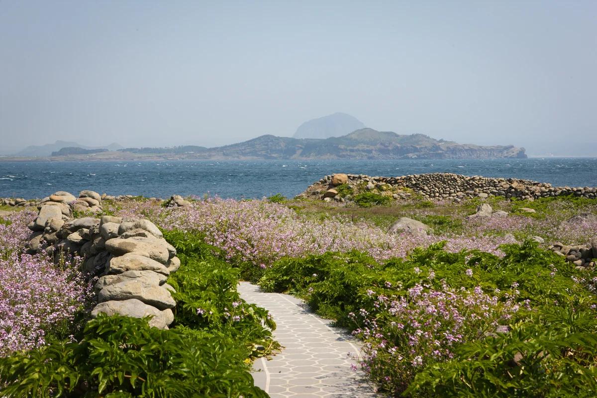 제주도 송악산 겨울 여행 어디가 좋을까? 비경의 해안 산책로와 낭만적인 카페 BEST 6