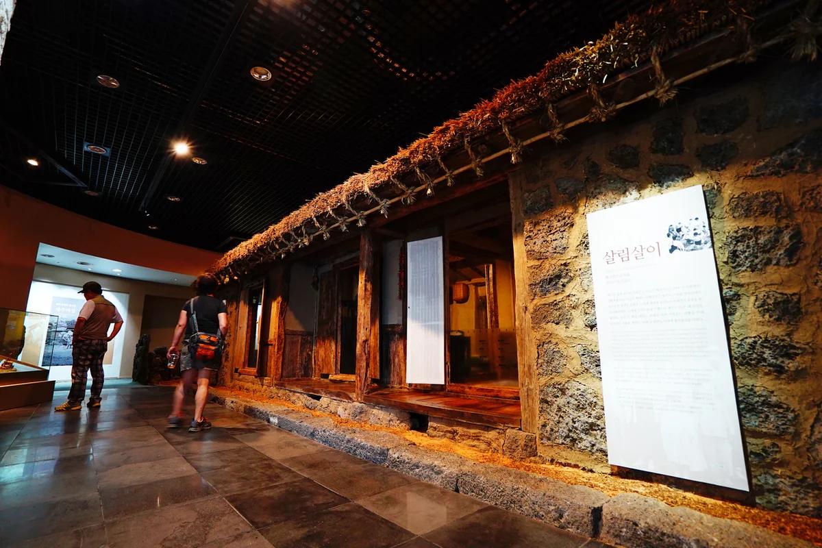 제주 살이 BEST 5, 겨울 낭만 가득한 제주에서의 특별한 경험