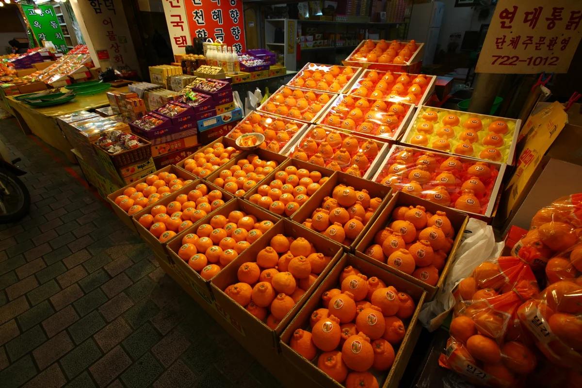 새하얀 겨울 낭만, 제주 메종 글래드 호텔 주변 겨울 여행 명소 5곳