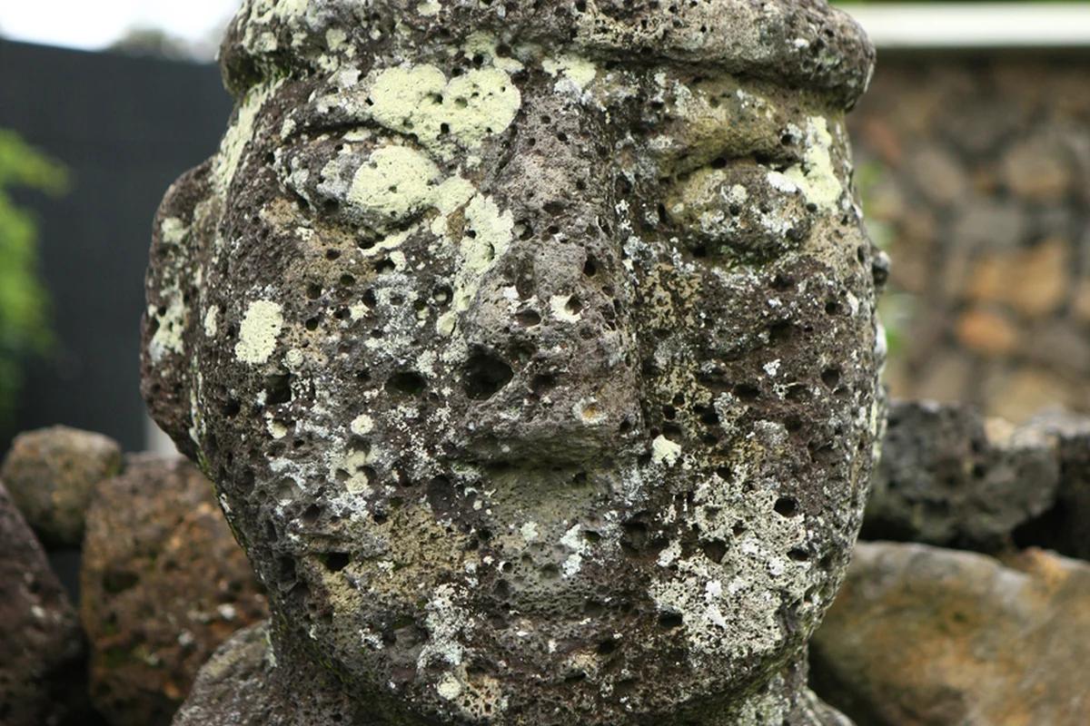 제주도 관광지 BEST 5, 겨울 낭만과 함께 떠나는 특별한 여행