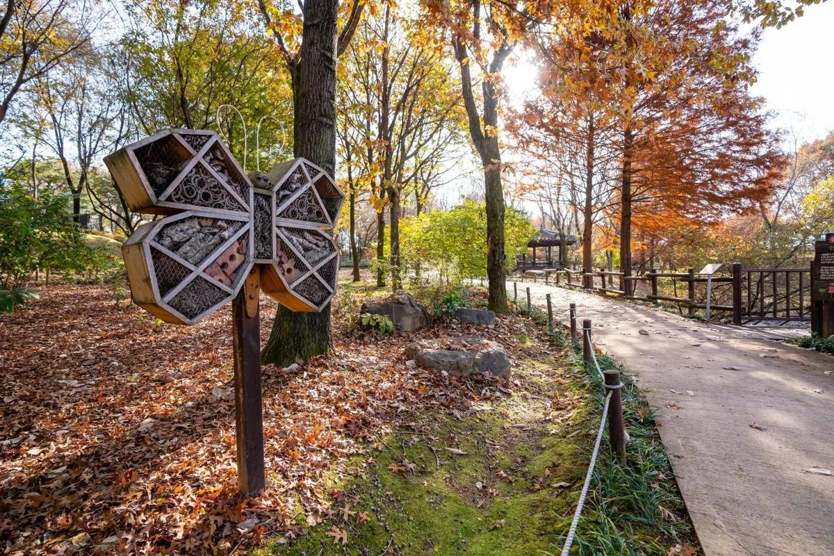 전주 여행, 전주 수목원 어디가 좋을까? 겨울 낭만 가득한 명소 BEST 6