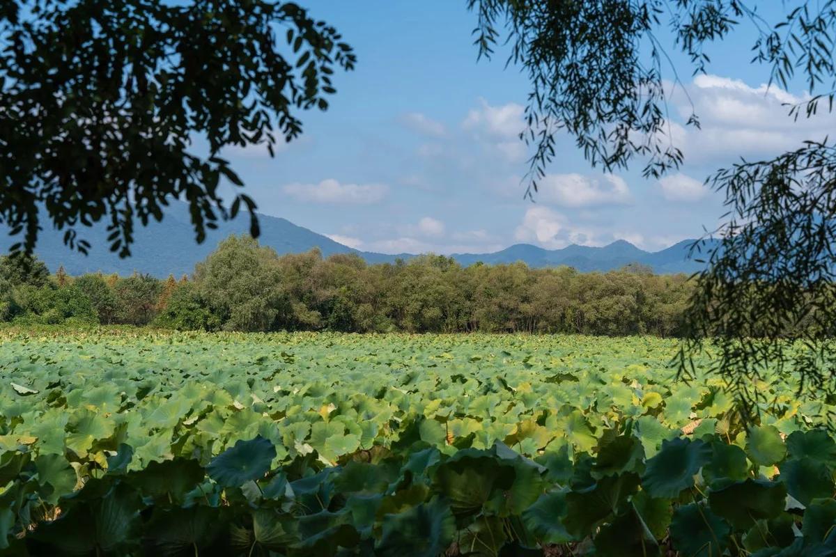 낭만적인 겨울밤, 반짝이는 야경 따라 떠나는 서울 근교 야간 드라이브, 팔당 & 남한산성