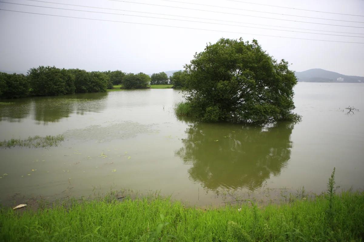 논산 1 박 2 일 펜션 BEST 5, 겨울 낭만과 따뜻함을 더하는 특별한 숙소