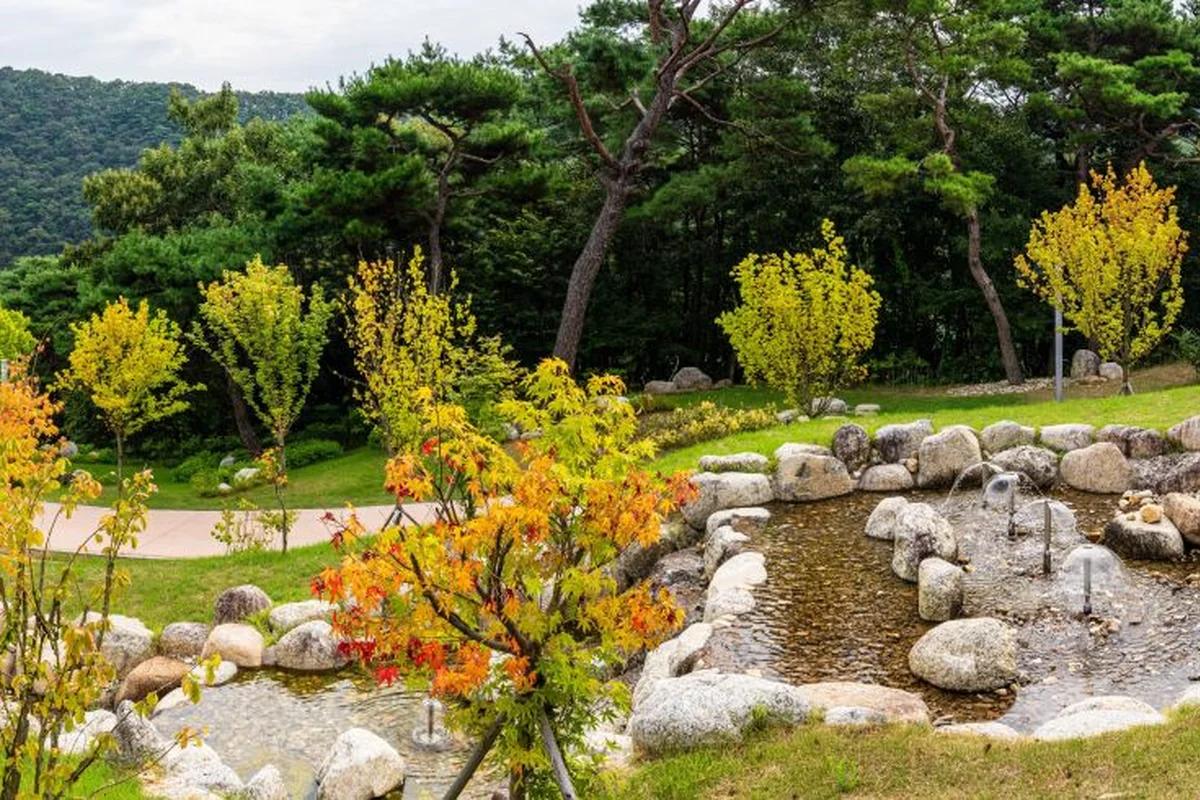 옥천 관광지 어디가 좋을까? 겨울 낭만 가득한 향수시네마와 부소담악 BEST 6