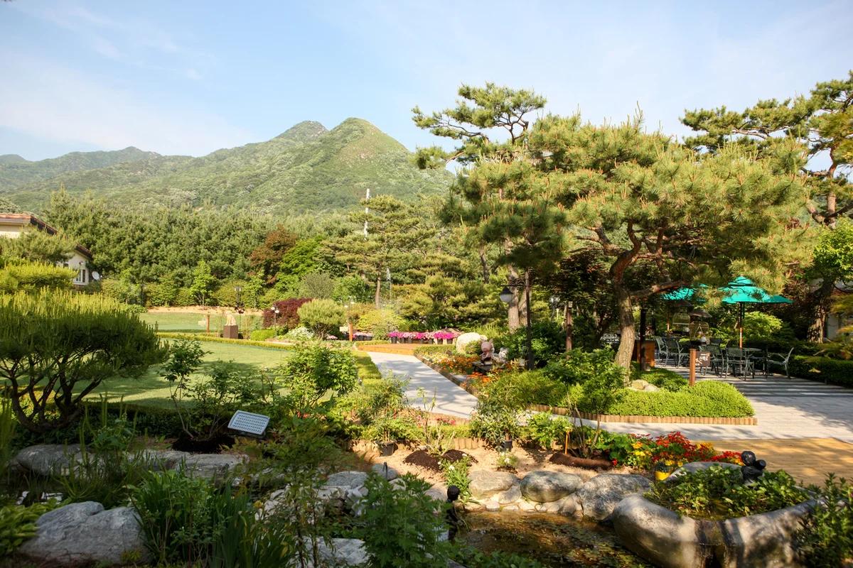 이번 겨울, 파주 퍼스트 가든 어디가 좋을까? 유럽풍 정원과 따뜻한 온실 BEST 6