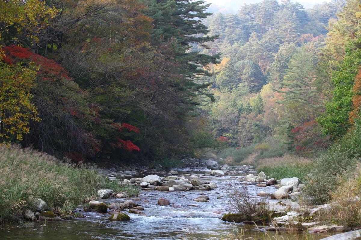 평창 계곡 어디가 좋을까? 겨울 낭만을 더하는 설경 명소 BEST 5