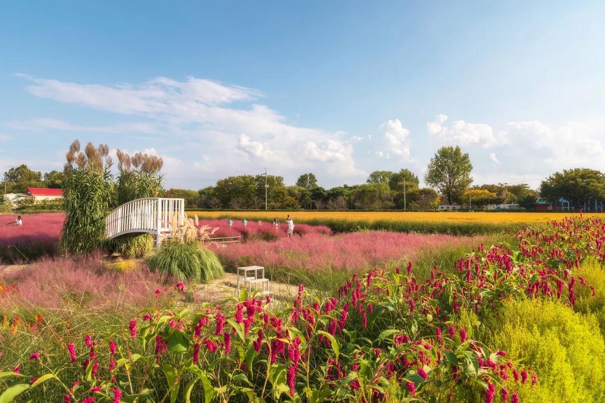 평택 BEST 5, 겨울 낭만 가득한 평택 여행을 떠나보세요
