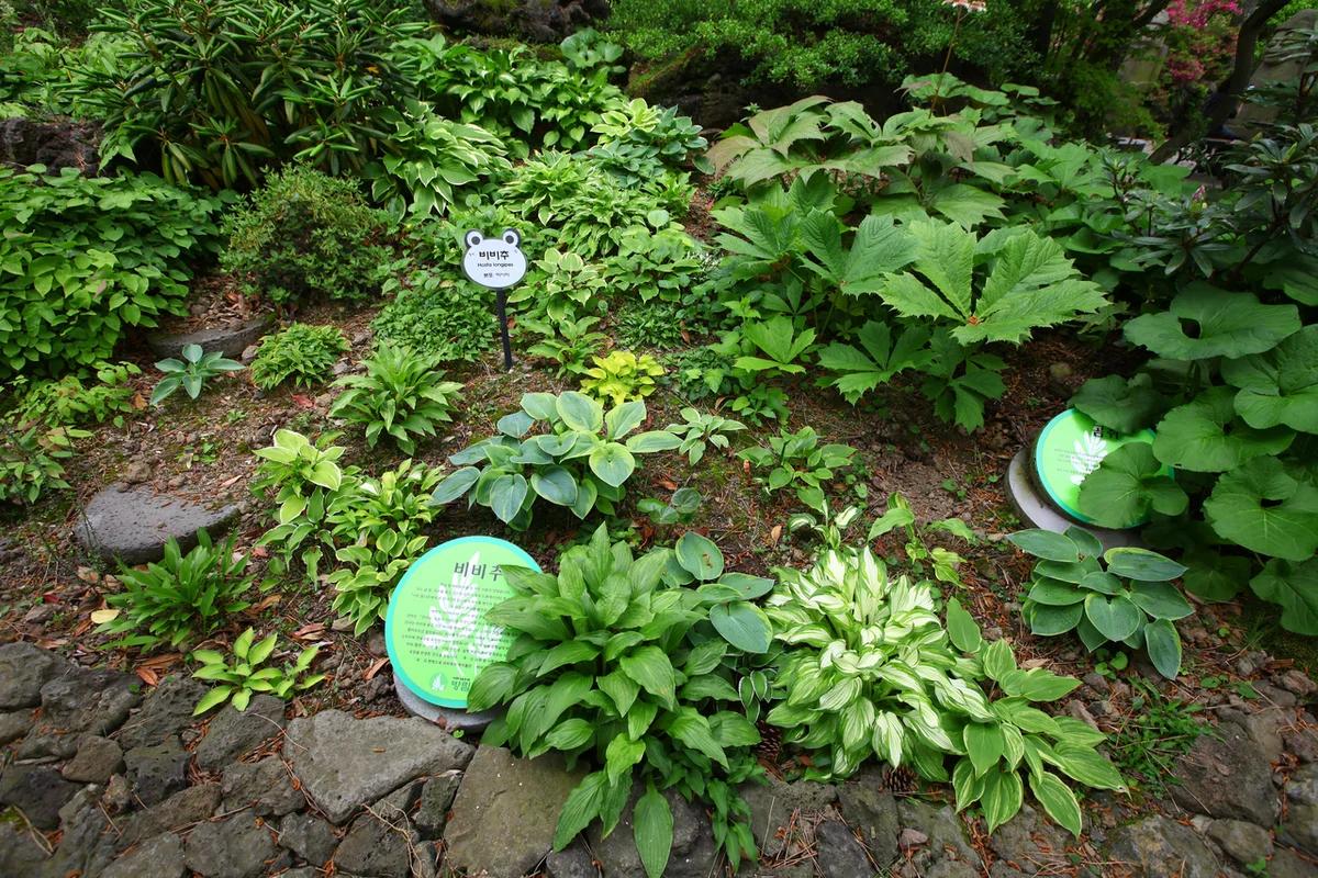 세종 호수 공원 맛집 BEST 5, 겨울 낭만 가득한 미식 여행