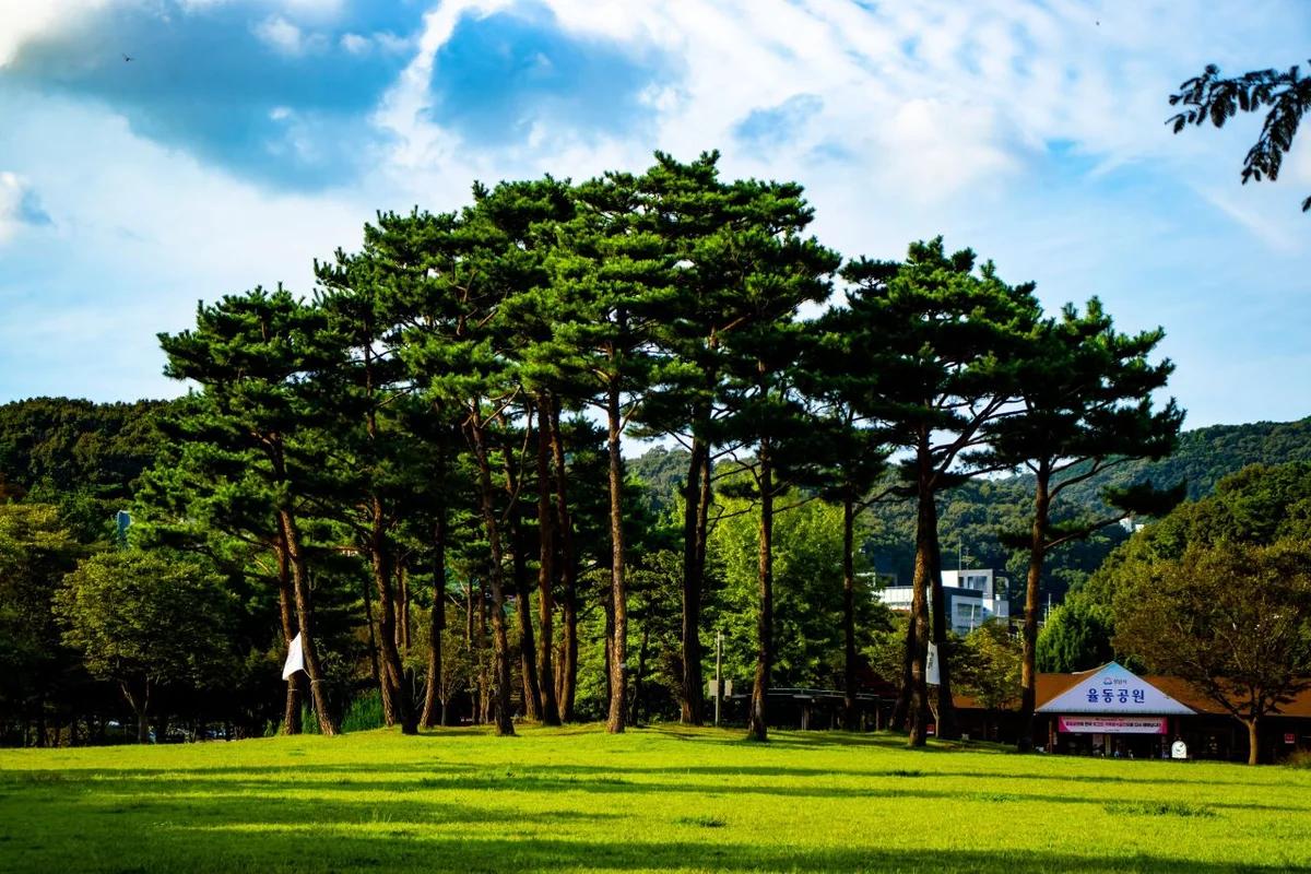 차가운 겨울, 마지막 길을 따뜻하게 배웅하는 성남 화장터와 주변 추모 공간 5곳