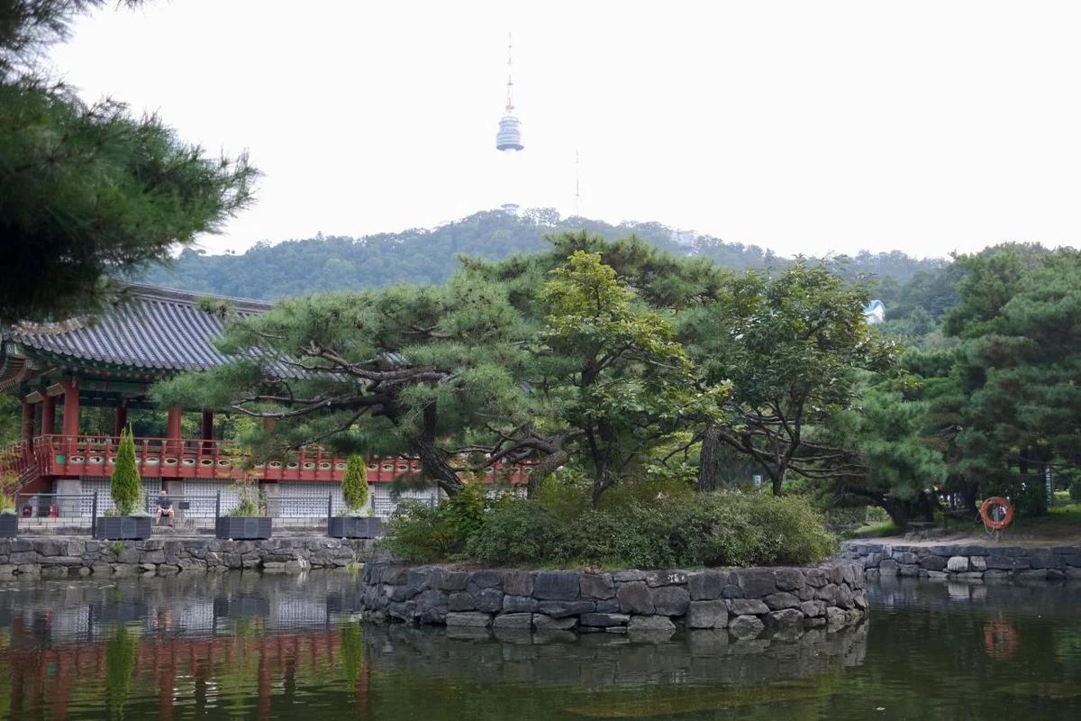 겨울밤 낭만, 서울 심야 드라이브 어디로 떠날까? 북악스카이웨이 & 남산 N서울타워 BEST 6