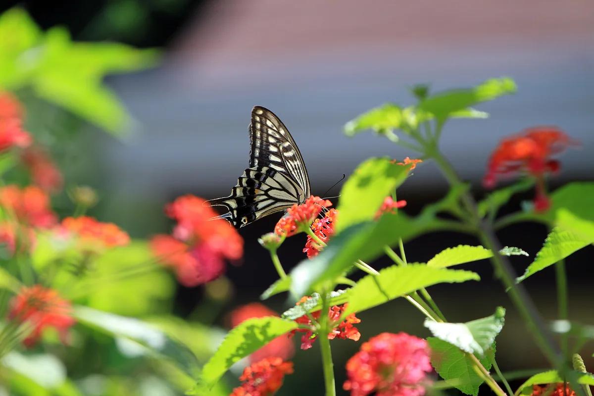 서울 근교 여행지 BEST 5, 겨울 낭만 가득한 특별한 추억 만들기