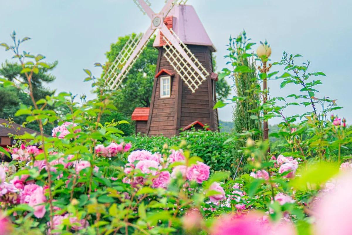 겨울 서울, 장미 축제를 기다리며 만나는 설렘 가득 겨울 명소 BEST 6