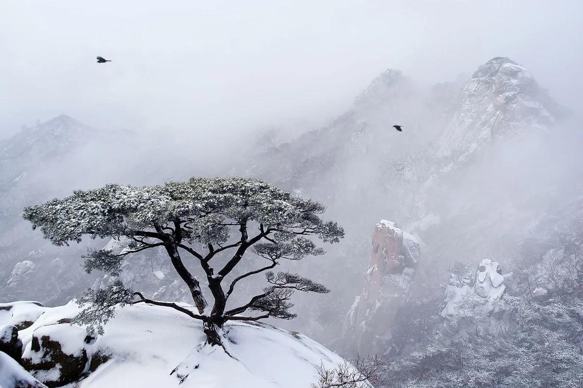 새하얀 겨울, 서울 등산의 낭만 속으로  북한산, 도봉산, 아차산