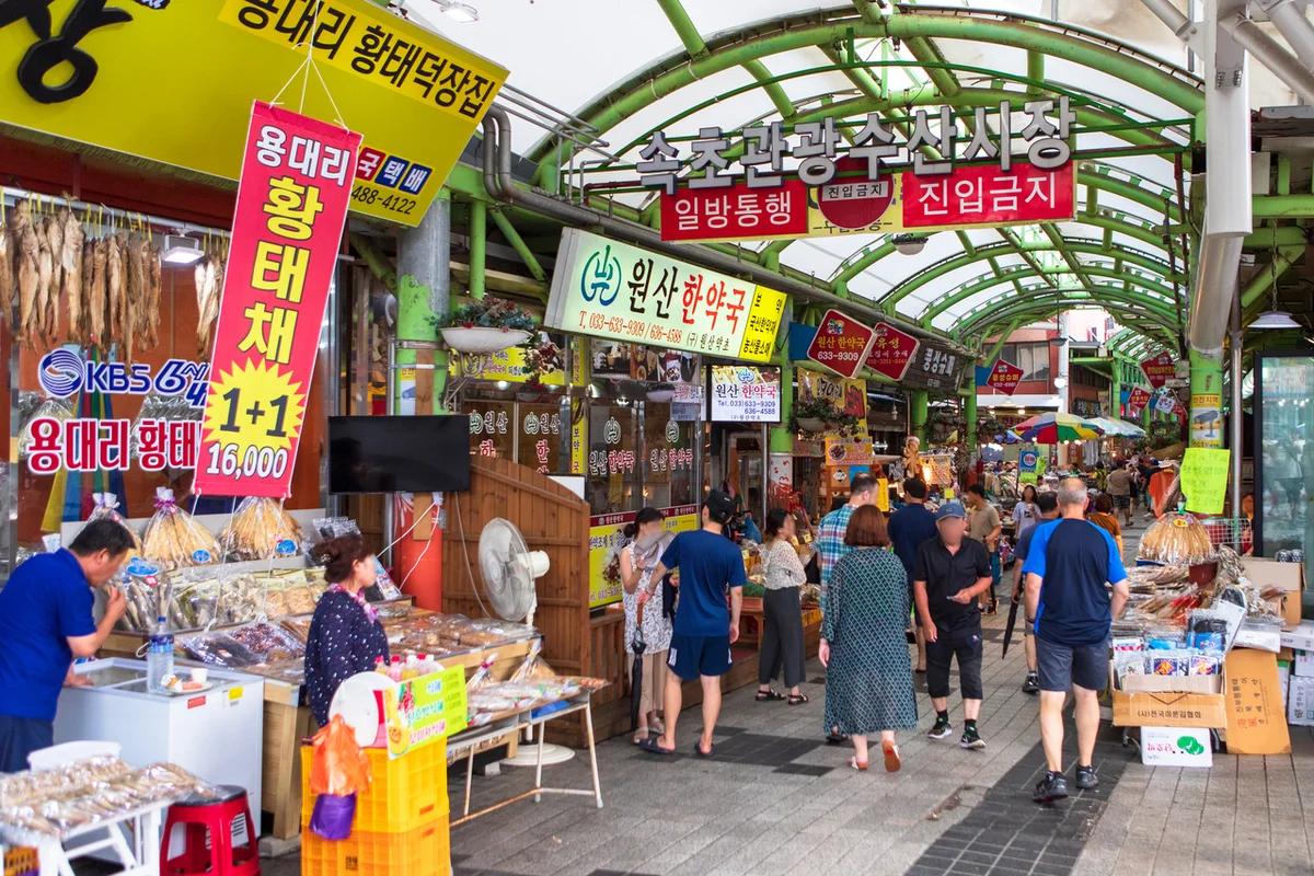 겨울 속초 대표 음식 어디가 좋을까? 중앙시장 & 대포항 BEST 6