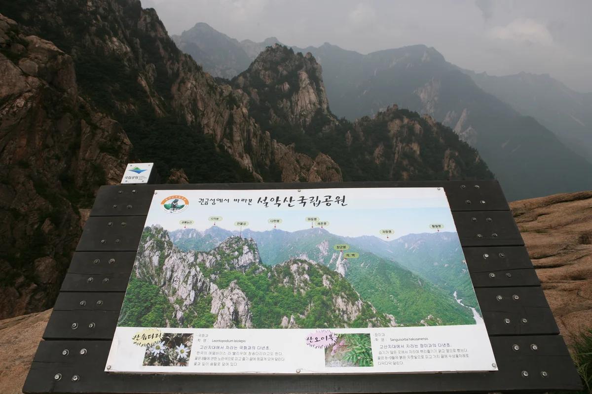 새하얀 겨울, 속초 근처 가볼만한 곳 어디가 좋을까? 설악산 & 대포항 BEST 6