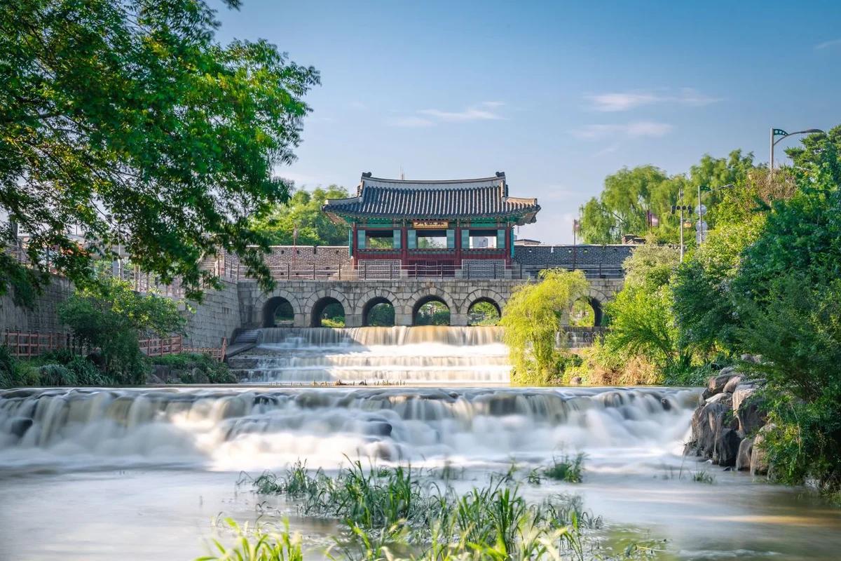 겨울 수원 화성 벚꽃은 어디가 좋을까? 설경 명소 BEST 6