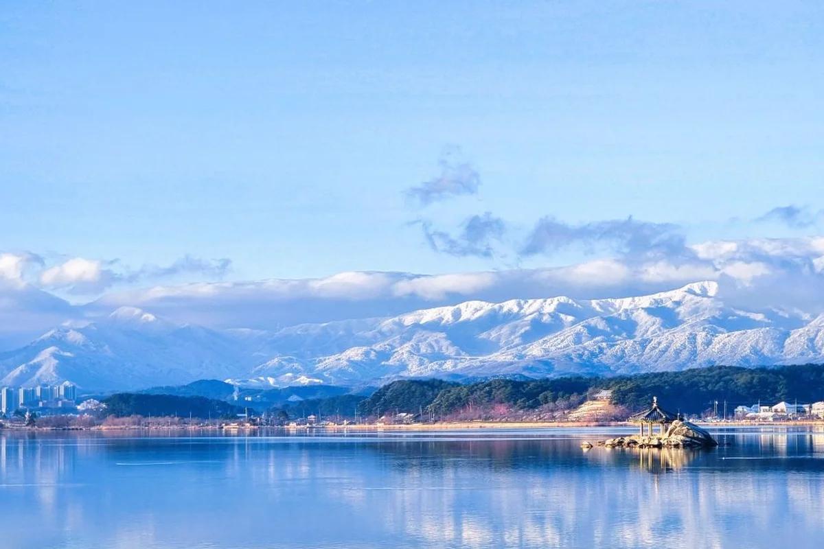 겨울 태백 특산물 어디가 좋을까? 눈꽃축제 & 태백산 BEST 6