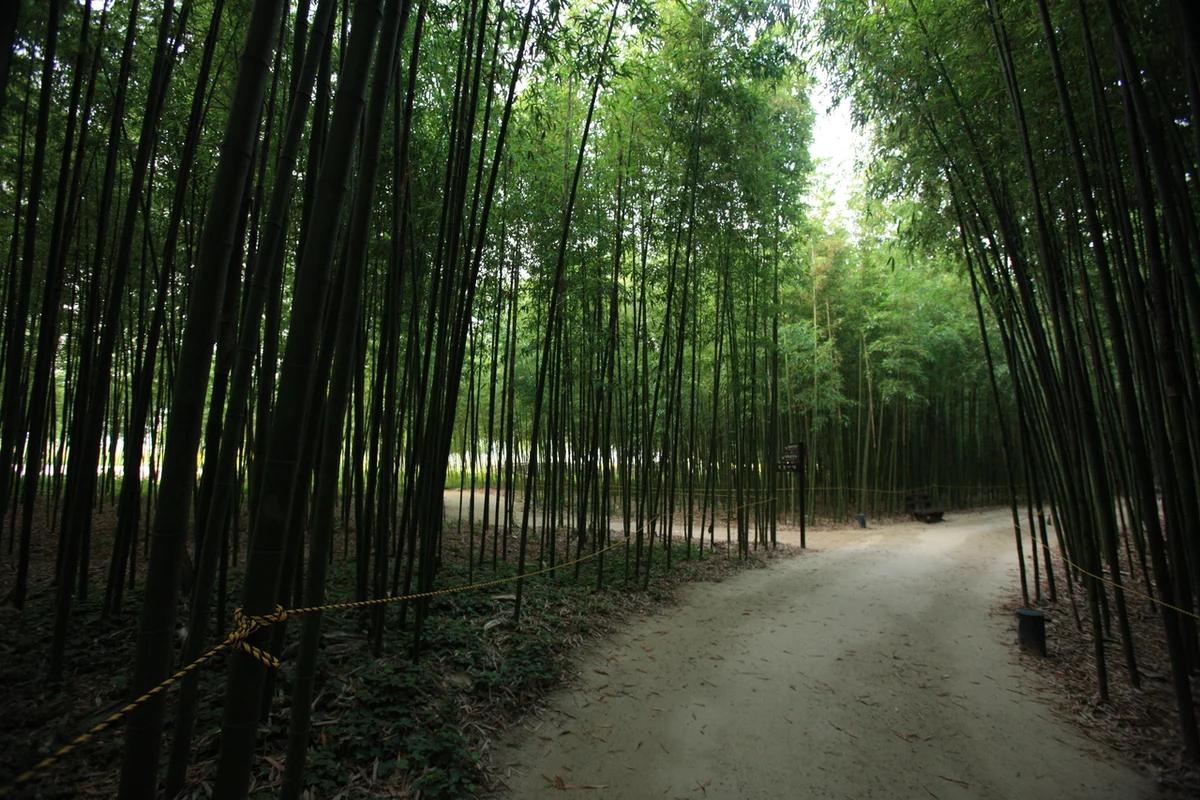 울산 대전, 어디로 떠날까? 태화강 국가정원부터 간절곶까지 겨울 여행 BEST 5