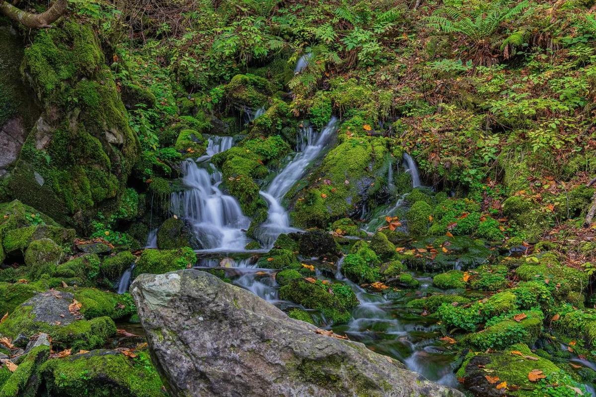 강원도 겨울 여행 BEST 5, 설경 속 낭만과 따뜻한 겨울 맛집 탐방