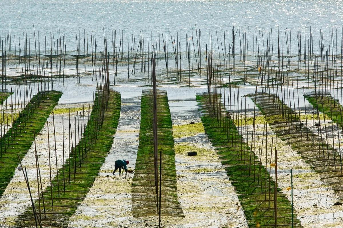 겨울 장흥 유원지 맛집 어디가 좋을까? 뜨끈한 겨울 낭만 BEST 6