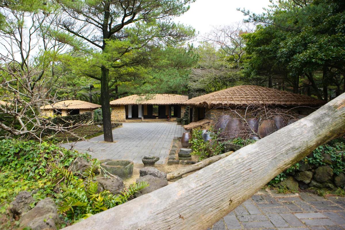 눈 덮인 한라산과 따뜻한 온천, 겨울 제주 도민처럼 즐기는 숨은 명소 6곳