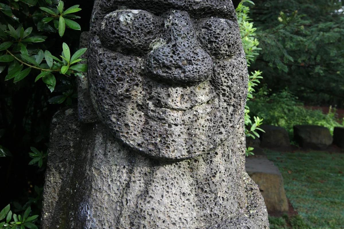 눈꽃처럼 아름다운 1월 제주 갈만한 곳, 비자림과 사려니숲길 겨울 힐링